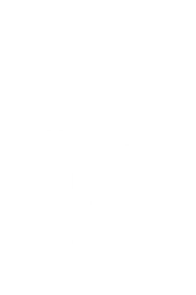 h3-banner-bird-img